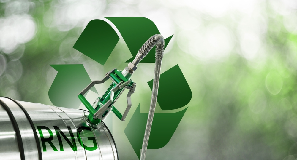 investor appetite for energy alternatives