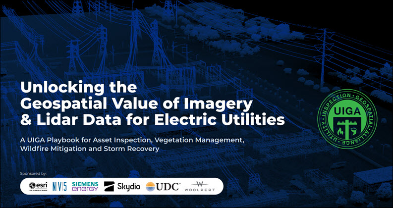 Utility asset inspection